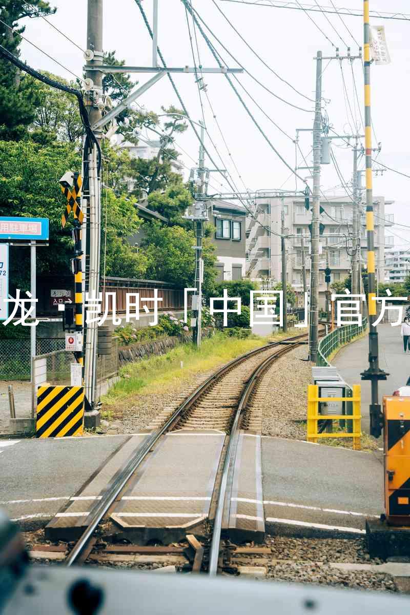 Z6尊龙·凯时「中国」官方网站